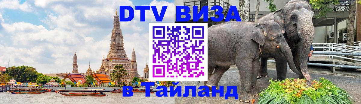 Оформление DTV визы под ключ: стоимость и тарифы, только загранпаспорт - 